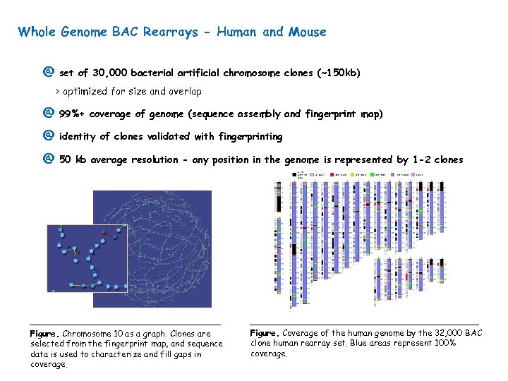 Whole Genome BAC Rearrays - Human and Mouse @ set of 30, 000 bacterial