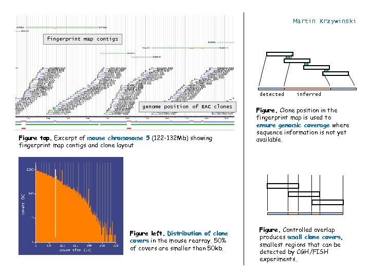 Martin Krzywinski fingerprint map contigs detected genome position of BAC clones Figure top. Excerpt
