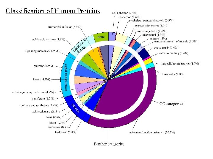 Classification of Human Proteins 
