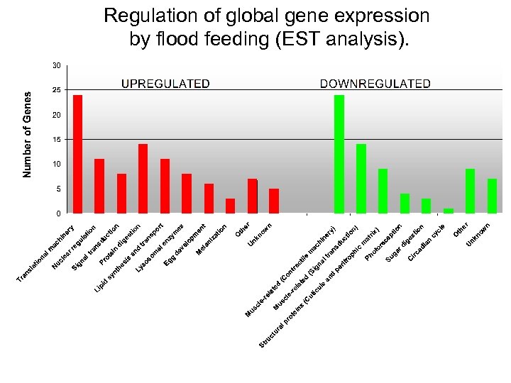 Regulation of global gene expression by flood feeding (EST analysis). 