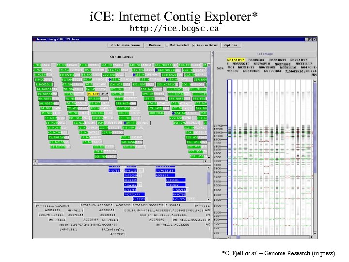 i. CE: Internet Contig Explorer* http: //ice. bcgsc. ca *C. Fjell et al. –