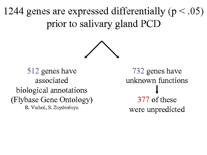 1244 genes are expressed differentially (p <. 05) prior to salivary gland PCD 512