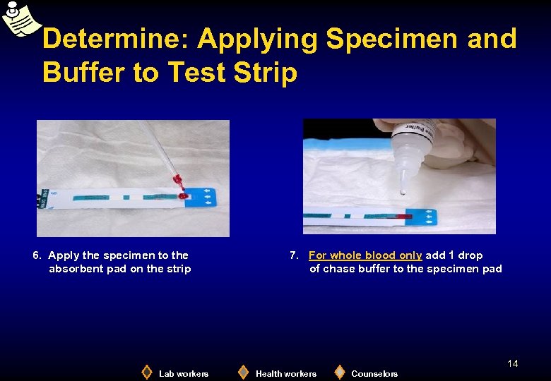 Determine: Applying Specimen and Buffer to Test Strip 6. Apply the specimen to the