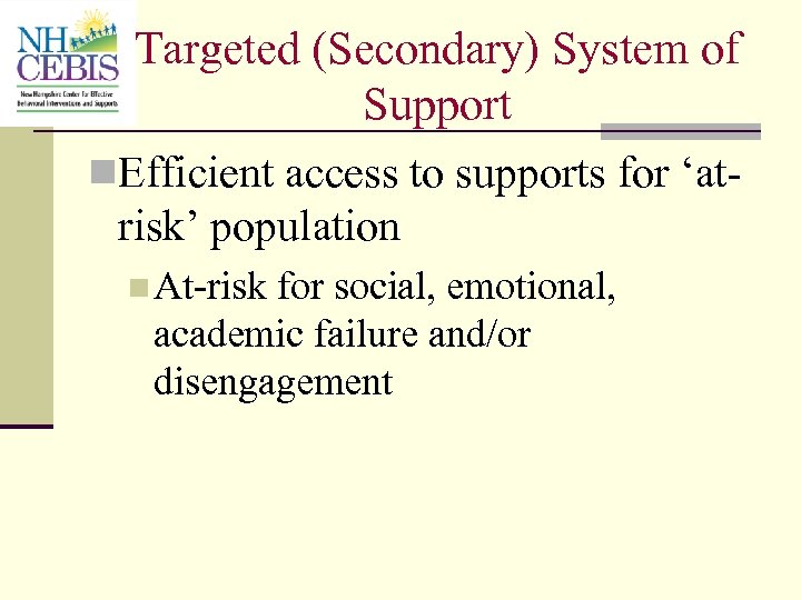 Targeted (Secondary) System of Support n. Efficient access to supports for ‘atrisk’ population n