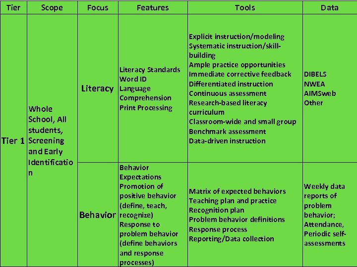 Tier Scope Focus Features Tools Data Literacy Standards Word ID Language Comprehension Print Processing