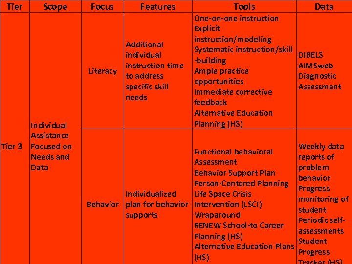 Tier Scope Focus Features Additional individual instruction time Literacy to address specific skill needs