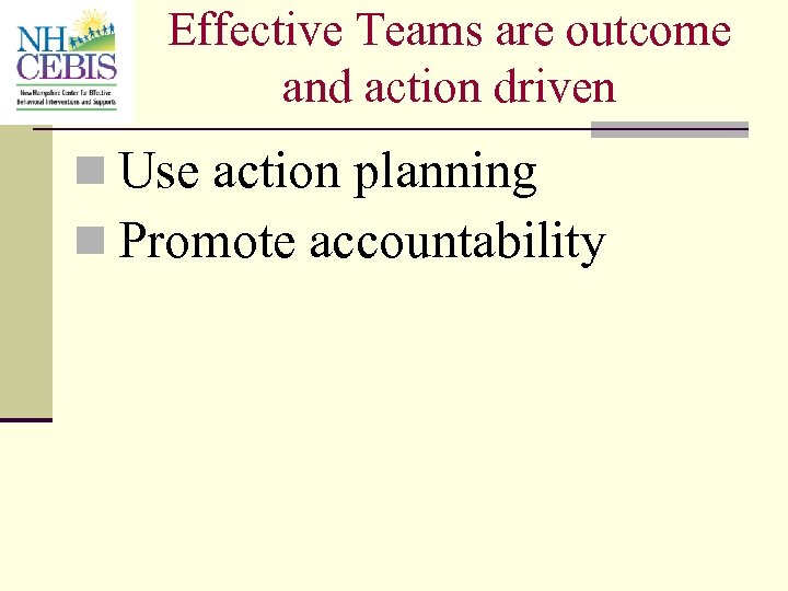 Effective Teams are outcome and action driven n Use action planning n Promote accountability