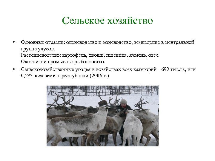 Сельское хозяйство • • Основные отрасли: оленеводство и коневодство, земледелие в центральной группе улусов.