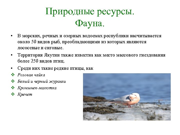 Природные ресурсы. Фауна. • В морских, речных и озерных водоемах республики насчитывается около 50