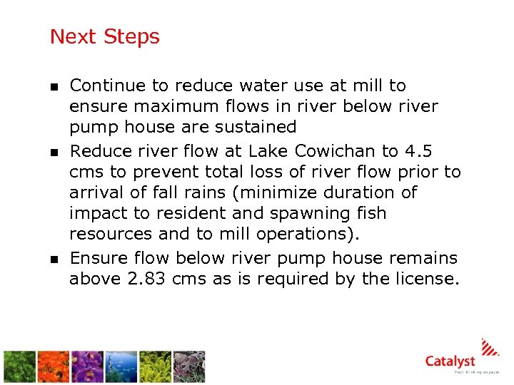 Next Steps n n n Continue to reduce water use at mill to ensure