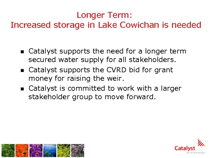 Longer Term: Increased storage in Lake Cowichan is needed n n n Catalyst supports