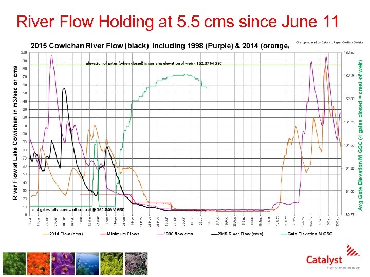River Flow Holding at 5. 5 cms since June 11 3 