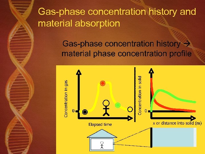 Gas-phase concentration history and material absorption 
