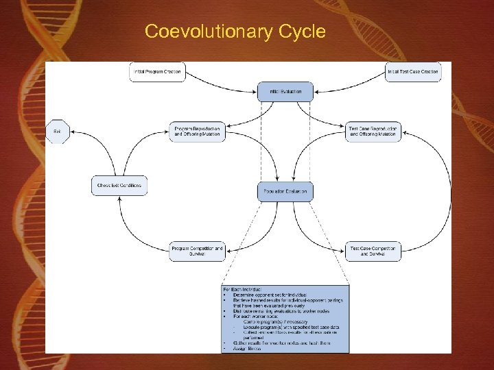 Coevolutionary Cycle 