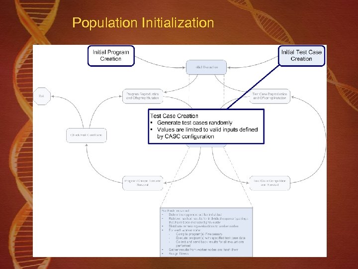Population Initialization 