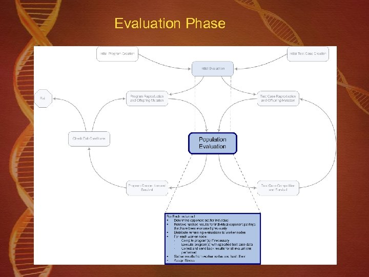 Evaluation Phase 