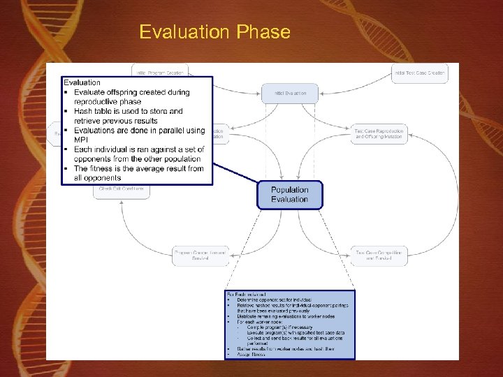 Evaluation Phase 