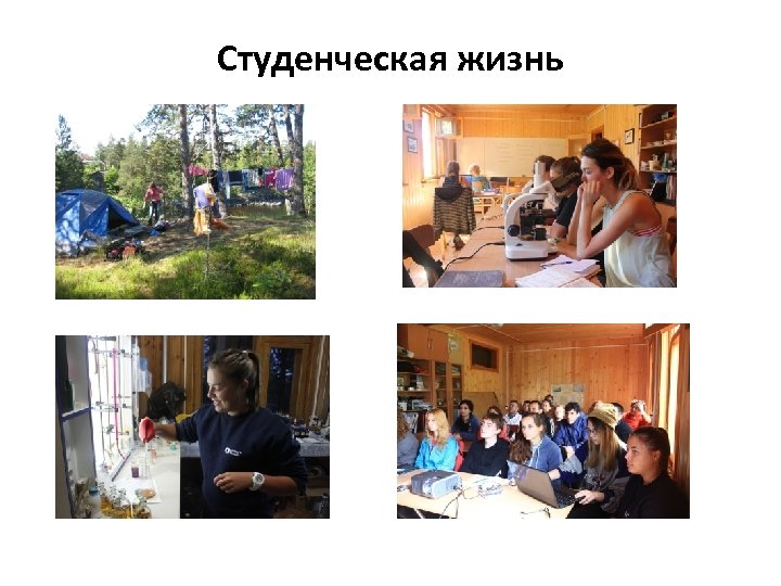 Студенческая жизнь 