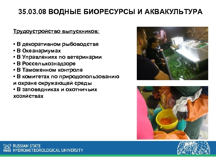 Водные биоресурсы и аквакультура кем работать. Водные биоресурсы и аквакультура. Водные биоресурсы и аквакультура специальность.