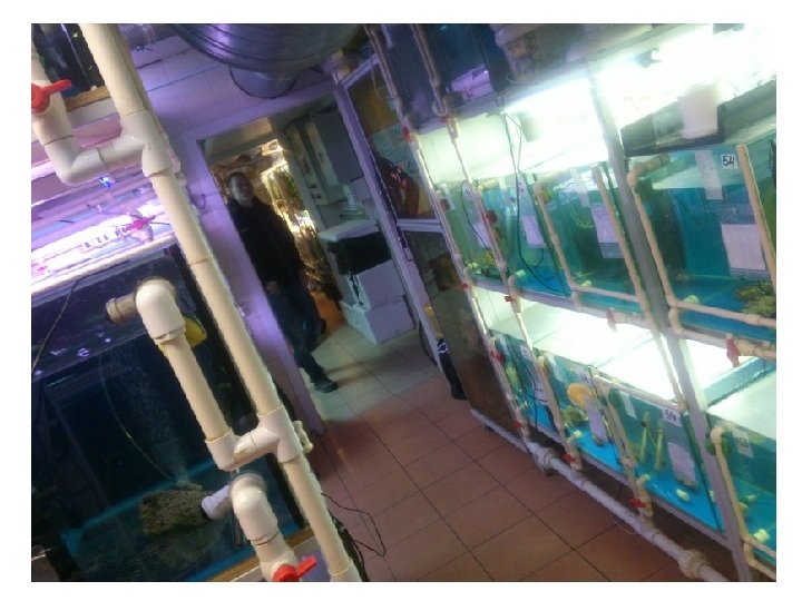 ВОДНЫЕ БИОРЕСУРСЫ И АКВАКУЛЬТУРА 35. 03. 08 Бакалавриат (академический) Профиль: Управление водными биоресурсами а