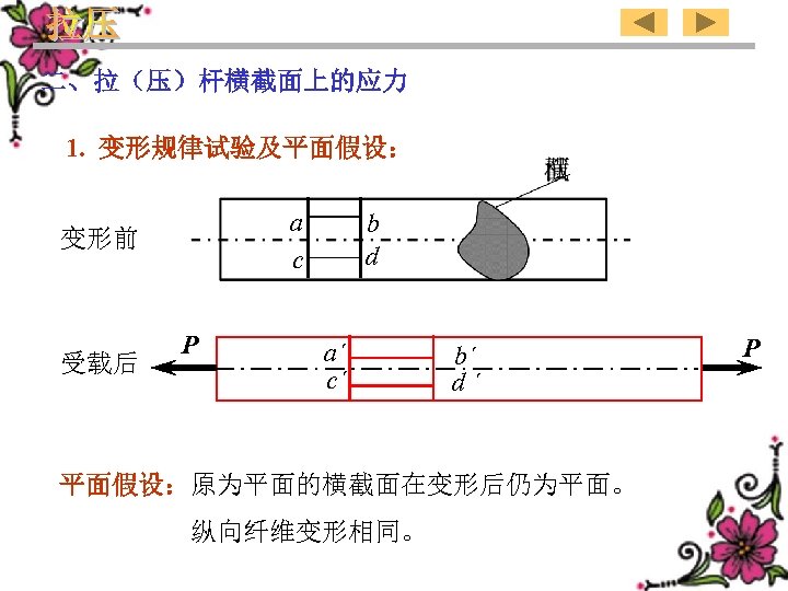 二、拉（压）杆横截面上的应力 1. 变形规律试验及平面假设： a c 变形前 受载后 P b d a´ c´ b´ d´