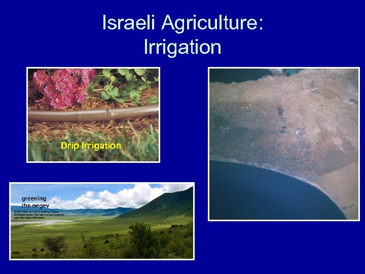 Israeli Agriculture: Irrigation Drip Irrigation 