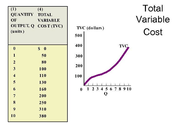 Total Variable Cost 