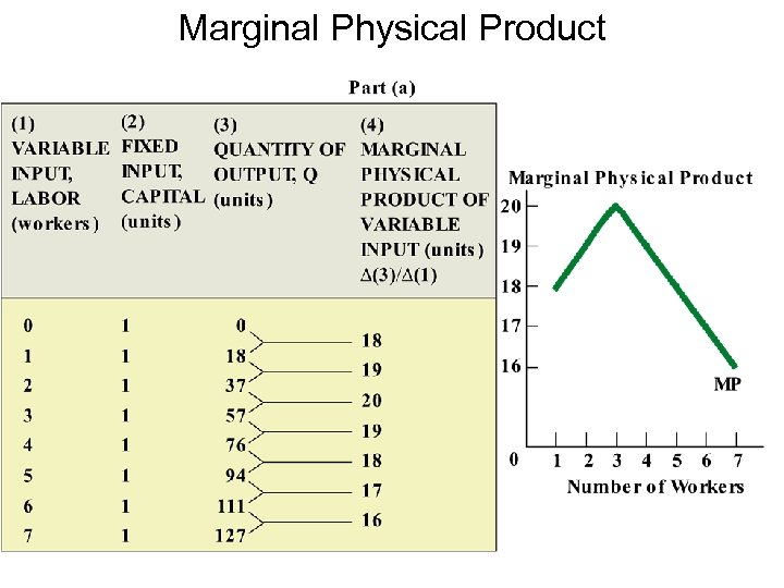 Marginal Physical Product 