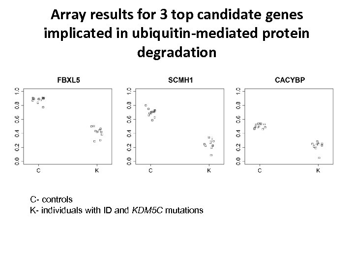 Array results for 3 top candidate genes implicated in ubiquitin-mediated protein degradation C- controls