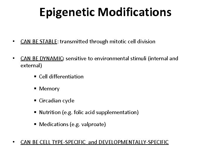 Epigenetic Modifications • CAN BE STABLE: transmitted through mitotic cell division • CAN BE