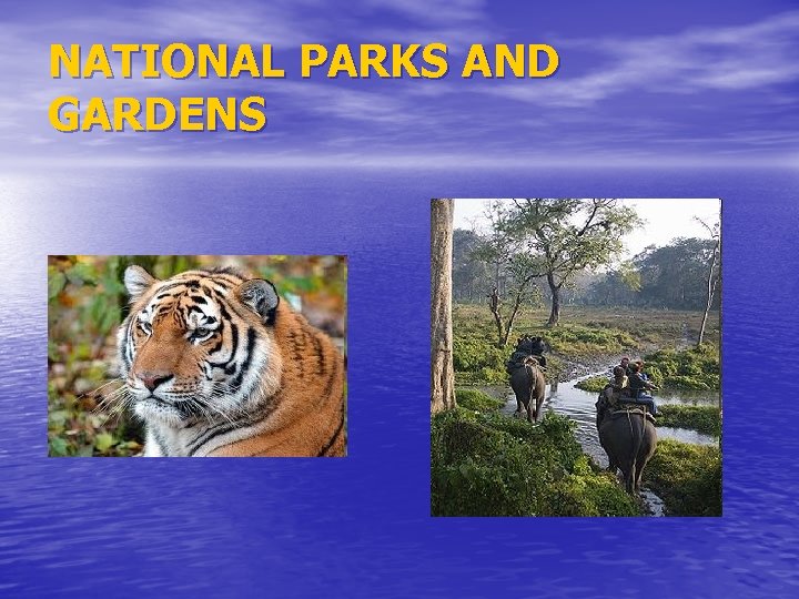 NATIONAL PARKS AND GARDENS 