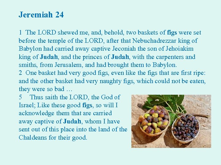 Jeremiah 24 1 The LORD shewed me, and, behold, two baskets of figs were