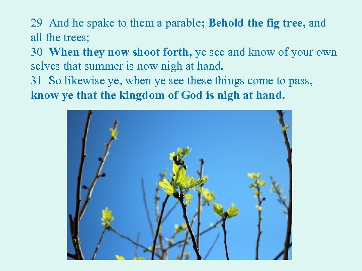 29 And he spake to them a parable; Behold the fig tree, and all