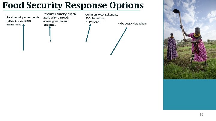 Food Security Response Options Food security assessments (EFSA, CFSVA, rapid assessment) Resources (funding, supply