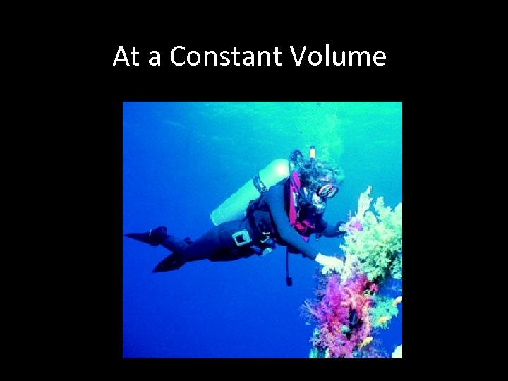 At a Constant Volume 
