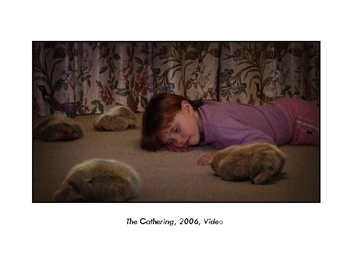 The Gathering, 2006, Video 