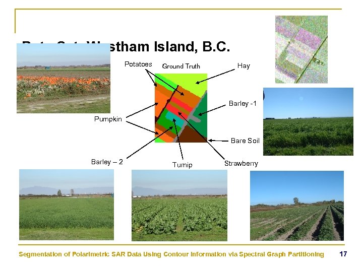 Data Set: Westham Island, B. C. Potatoes Hay Barley -1 Pumpkin Bare Soil Barley