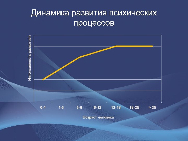 Динамика развития психических процессов 