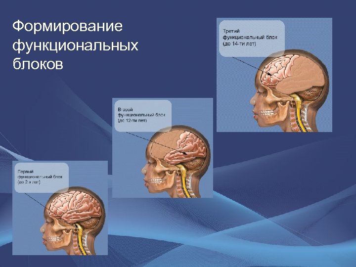 Формирование функциональных блоков 