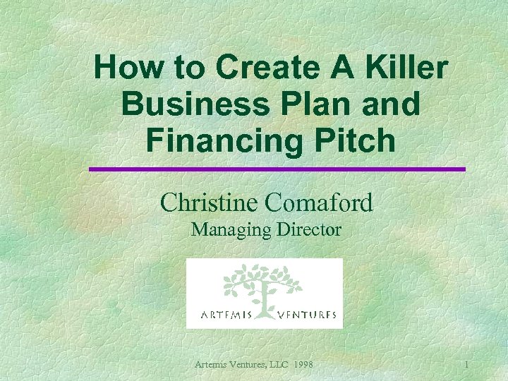 How to Create A Killer Business Plan and Financing Pitch Christine Comaford Managing Director