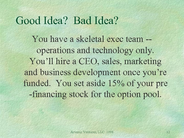 Good Idea? Bad Idea? You have a skeletal exec team -operations and technology only.
