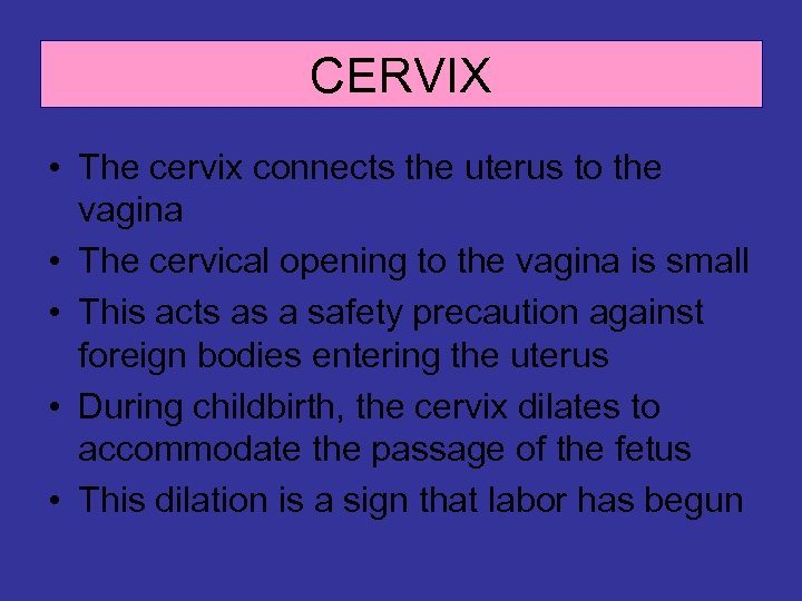 female-reproductive-system-16-3-female-reproductive