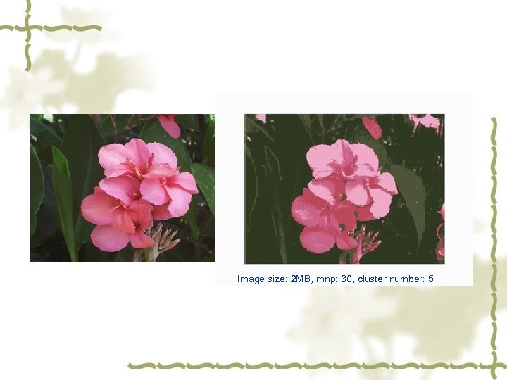 Image size: 2 MB, mnp: 30, cluster number: 5 