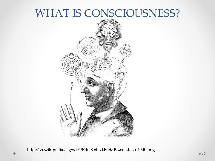 WHAT IS CONSCIOUSNESS? http: //en. wikipedia. org/wiki/File: Robert. Fudd. Bewusstsein 17 Jh. png 25