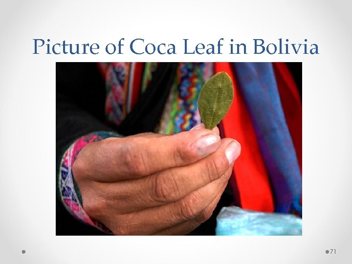 Picture of Coca Leaf in Bolivia 71 