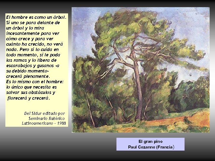 El hombre es como un árbol. Si uno se para delante de un árbol