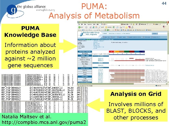 PUMA: Analysis of Metabolism 44 PUMA Knowledge Base Information about proteins analyzed against ~2