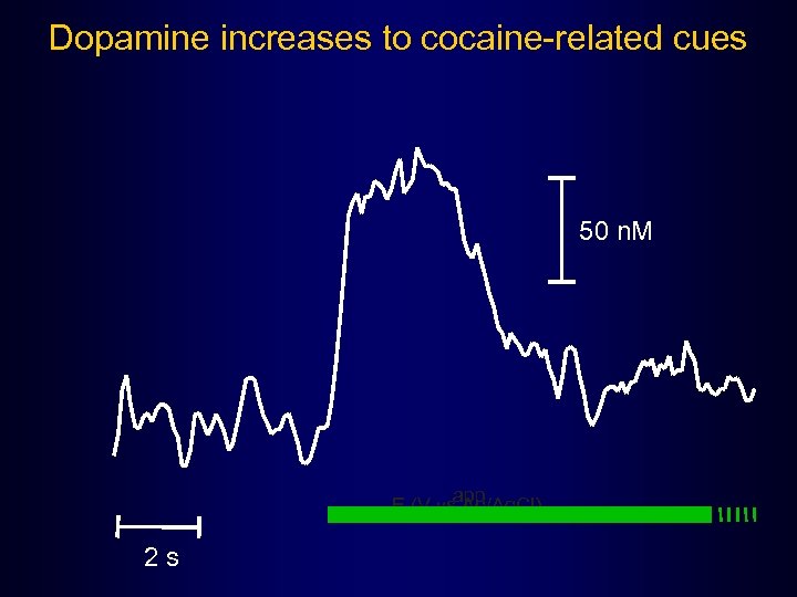 Dopamine increases to cocaine-related cues 50 n. M E (V vsapp Ag/Ag. Cl) 2