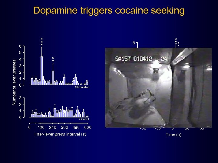 Dopamine triggers cocaine seeking * * * 6 5 4 * * 3 2