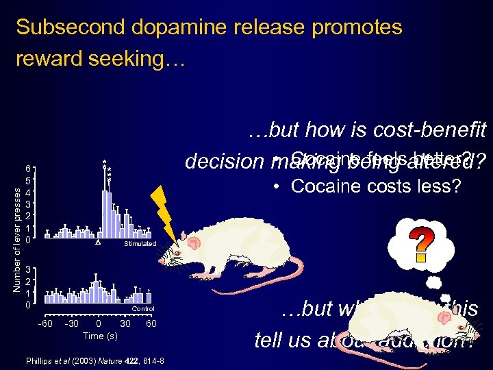 Number of lever presses Subsecond dopamine release promotes reward seeking… …but how is cost-benefit